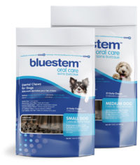 Dental Chews | Pet Oral Care – Bluestem Pets – Kane Biotech – Winnipeg