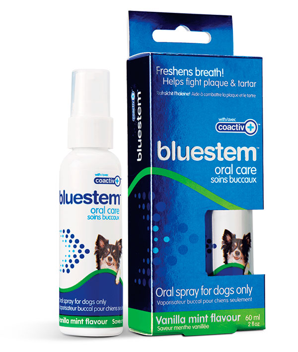 bluestem oral care for dogs