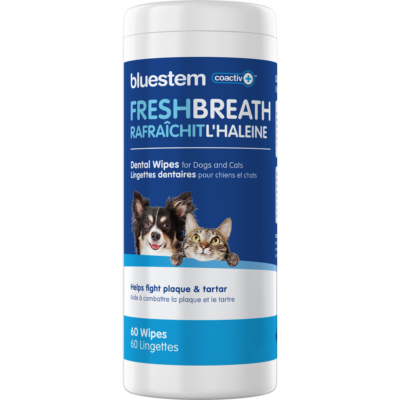 Bluestem dog dental best sale